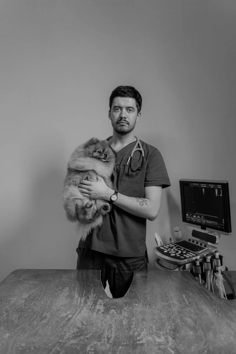 Medcão Clínica Veterinária - equipe
