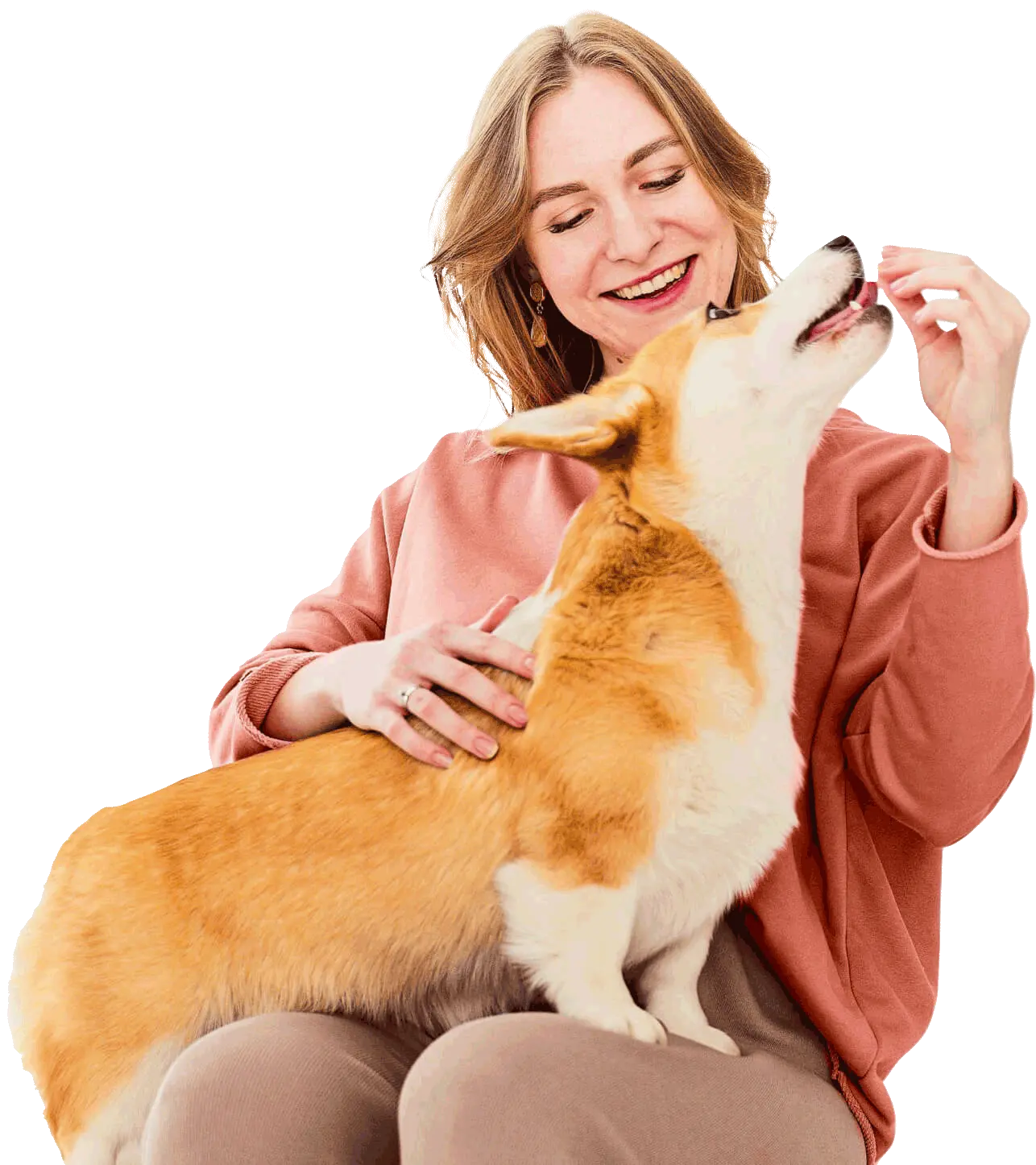 Medcão Clínica Veterinária